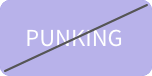 PUNKING